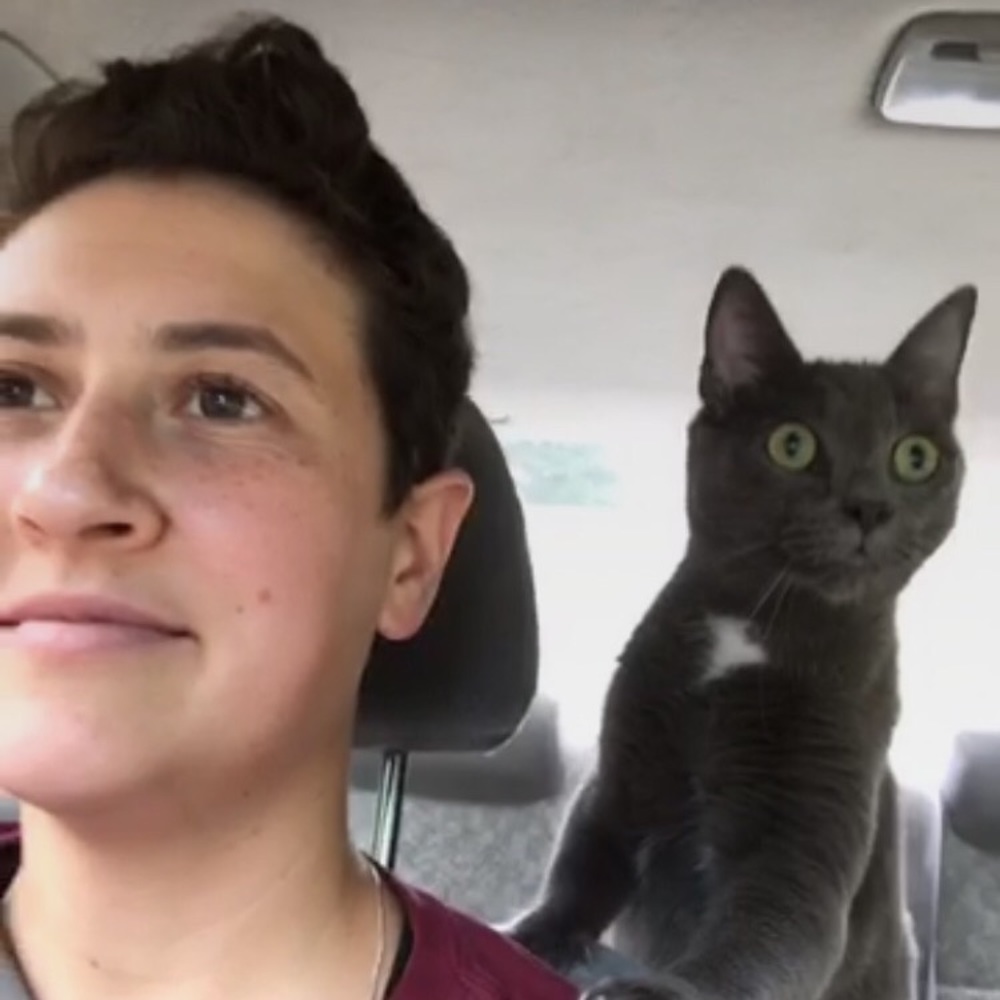 Meet your Posher, Rachel